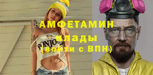 шишки Богородицк