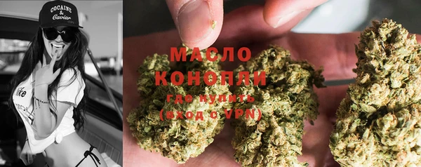 шишки Богородицк