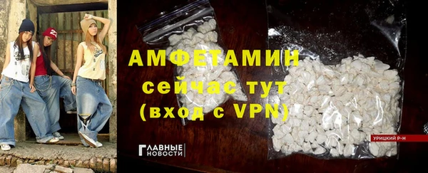 шишки Богородицк