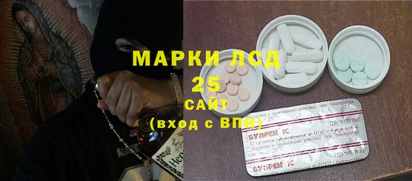 шишки Богородицк