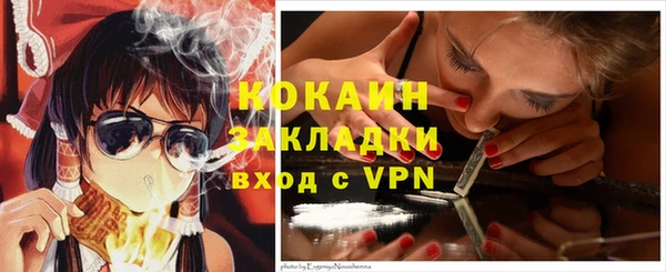 шишки Богородицк