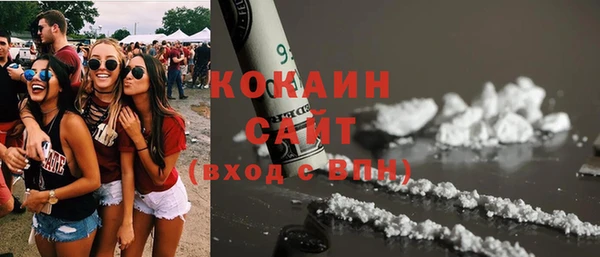 шишки Богородицк