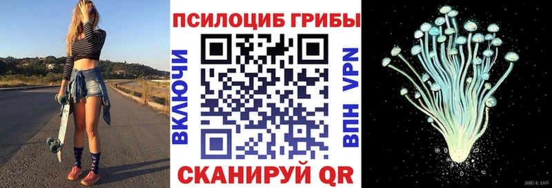 блэк спрут вход  Плёс  Псилоцибиновые грибы мухоморы  даркнет официальный сайт  магазин  наркотиков 